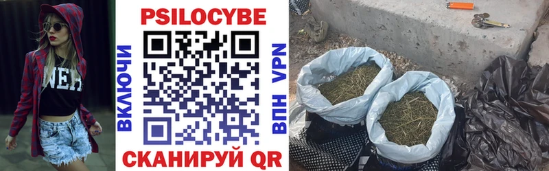 kraken маркетплейс  наркотики  это формула  Псилоцибиновые грибы Magic Shrooms  Белая Холуница 